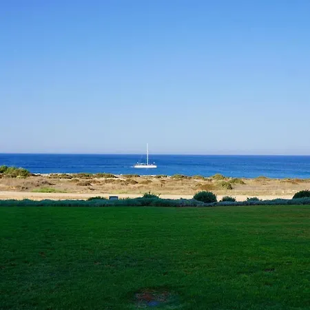 Narcissus 19 * Protaras